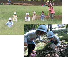 のはらネットワーク